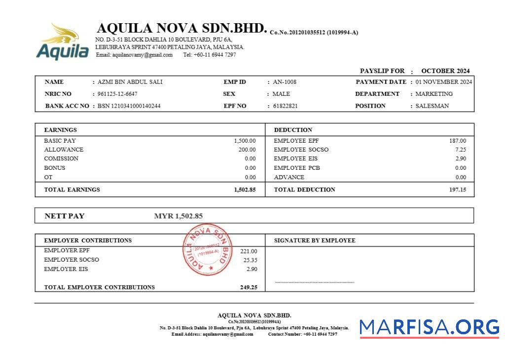 Realistic Aquila Nova consultant in Singapore payslip sample